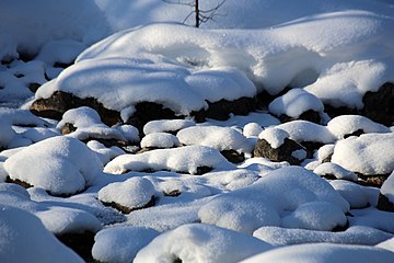 Nature of Inari