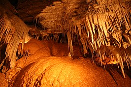 Nationaal park Mole Creek Karst