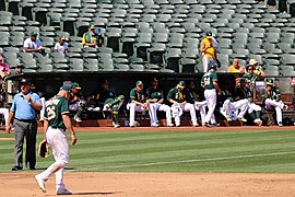 Matt Chapman (51004942661).jpg