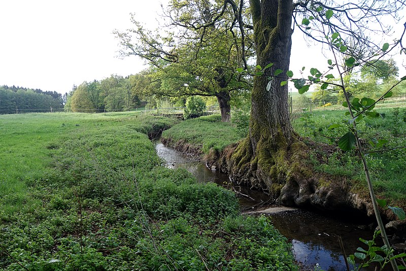 File:Beverbach am Eselsweg 3.jpg