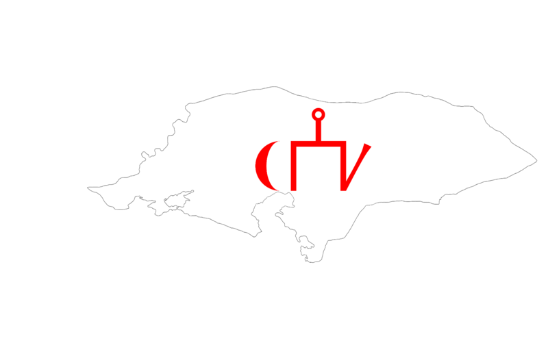 File:Golden Horde State Flag of Map (Year-1310).png