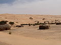 Abris en branches de palmier au pied des dunes.