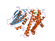 2bu6: CRYSTAL STRUCTURES OF HUMAN PYRUVATE DEHYDROGENASE KINASE 2 CONTAINING PHYSIOLOGICAL AND SYNTHETIC LIGANDS