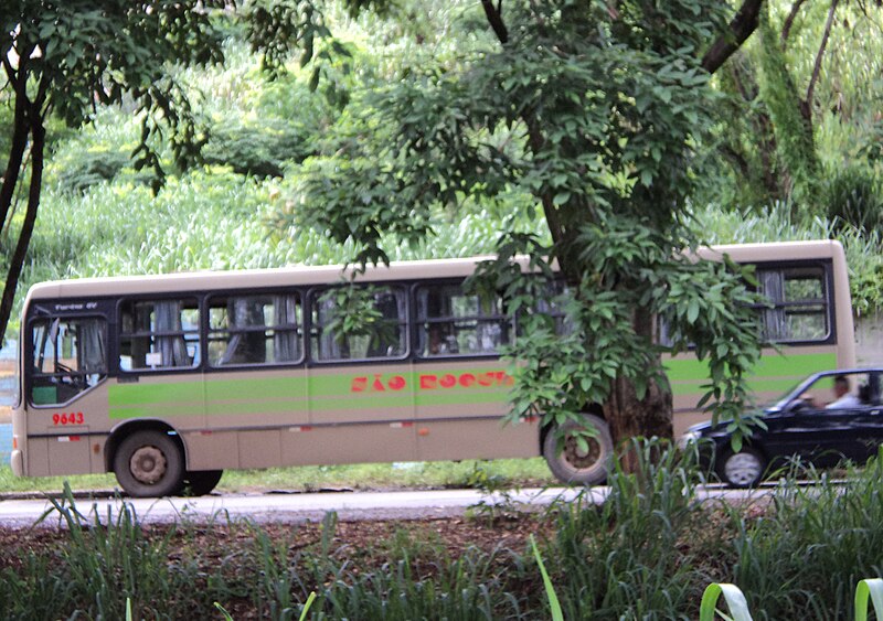 File:Ônibus da São Roque em Coronel Fabriciano MG.JPG