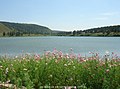 Hongholji National Forest Park