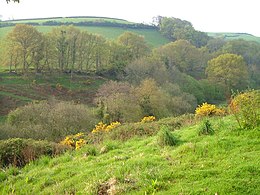 Paysage vallonné et boisé