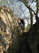 Burg-Liechtenstein-Klettergarten.jpg