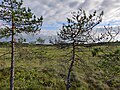 Image 14The Linnaistensuo Mire, a nature reserve swamp in Lahti, Finland. (from Swamp)