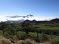 Piton des neiges vu de la plaine des Cafres.