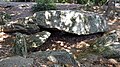 Dolmen des Rossignols