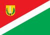 Flag of Chopinzinho