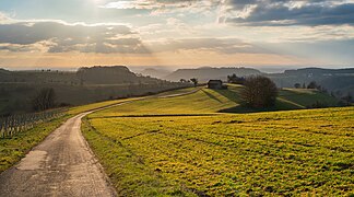 Beilstein-Kaisersbach - Oberäcker - Blick über die Landschaft im Januar (2)