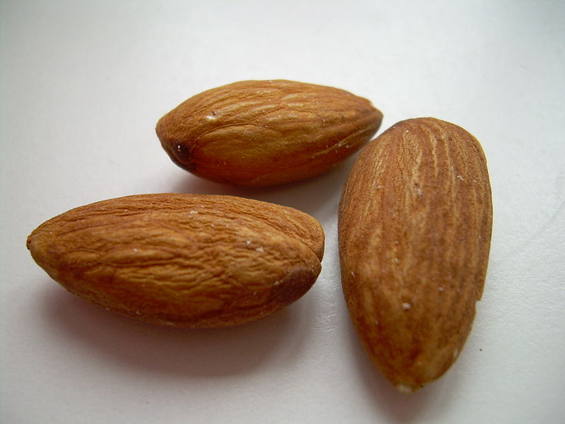 File:Almonds02.jpg