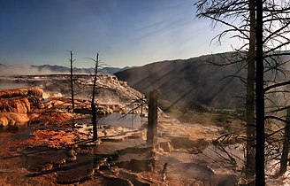 Crepuscular rays in steam from hot springs at Yellowstone National Park