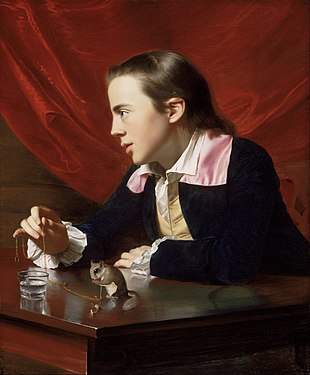 A Boy with a Flying Squirrel by John Singleton Copley