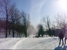 Snow whirlwind or devil, similar to a dust devil, seen on Mount Royal in Montreal, Canada