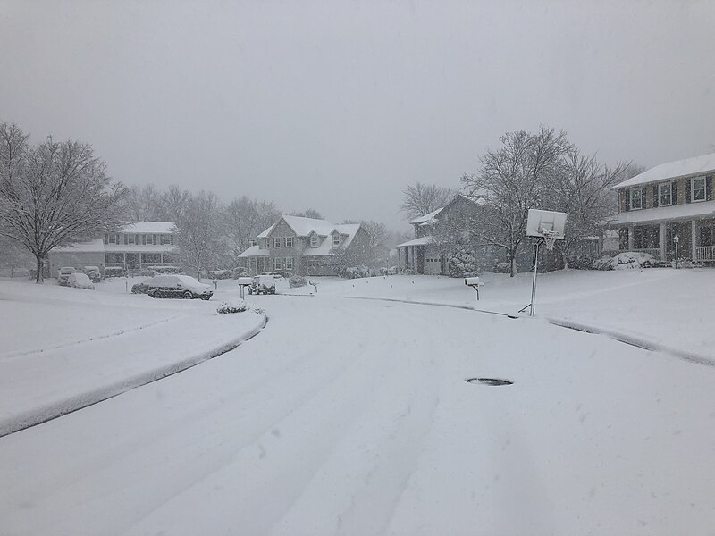 File:2022-01-03 09 24 56 View south along Birch Bark Court during a snowstorm in the Franklin Glen section of Chantilly, Fairfax County, Virginia.jpg