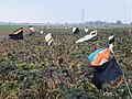 Thumbnail for File:Multi-coloured bird scarers - geograph.org.uk - 3412084.jpg