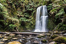 Beech Forest (AU), Great Otway National Park, Beauchamp Falls -- 2019 -- 1271