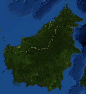 Distribution of N. boschiana.