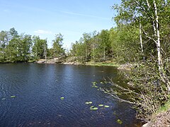 Baddammen N shore Ale municipality Vastergotland Sweden on May 16 2024.jpg