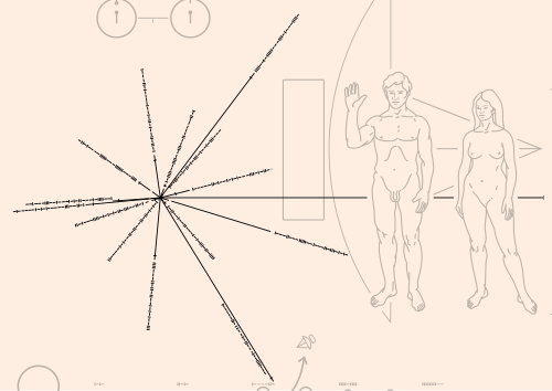 The pioneer plaque