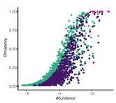 Manuka is a flowering scrub. The chart shows an abundance-occupancy distribution identifying core phyllosphere taxa in non-rarefied (green) and rarefied (purple) datasets. Each point represents a taxon plotted by its mean logarithmic relative abundance and occupancy. Taxa (pink) with an occupancy of 1 (i.e., detected in all 89 phyllosphere samples) were considered members of the core microbiome.[11]