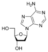 Estructura química de la desoxiadenosina