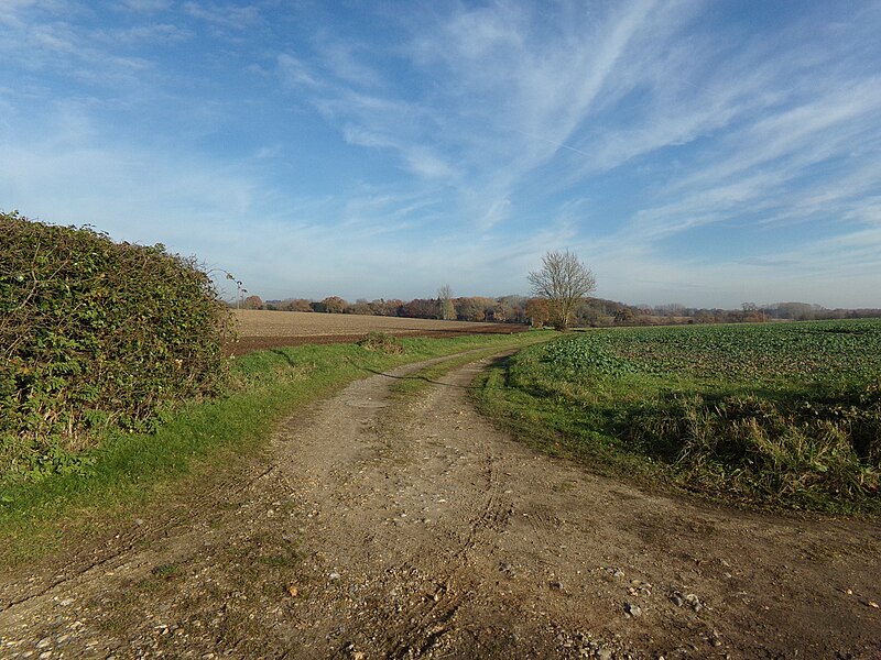 File:Entrance to The Grove - geograph.org.uk - 5217855.jpg