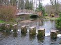 Stepping stones below the cascade