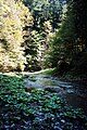 In der Raabklamm