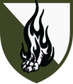 Нарукавний знак 45 одшб