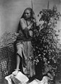 Femme Coolie, Darjeeling, Inde, s.d.