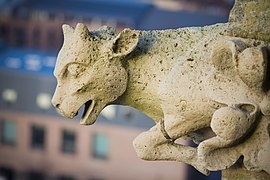 Gargoyles Cathedrale Amiens 2014-1944.jpg