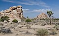 Joshua Tree National Park