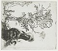 Blatt mit zwei Studien, einem Baum und dem oberen Teil des Kopfes von Rembrandt mit einem Samtbarett, 1640 bis 1644, Radierung