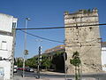 Muralla de Jerez, Calle Muro