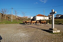 Vista de Angueira