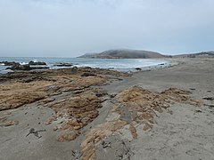 Estero Bluffs State Park, Villa Creek Beach