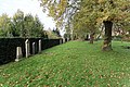 Friedhof (Jüdischer Friedhof)