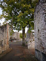 Photographie en couleurs de l'arbre de la liberté d'Oradour-sur-Glane, intact après l'incendie du village