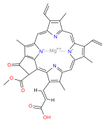 Struttura della clorofilla c2