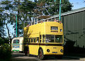 Ex Bournemouth open top trolleybus No.202. Seen at the East Anglia Transport Museum, summer 2006. In the background can be seen the back of a former Solingen (Germany) trolleybus.