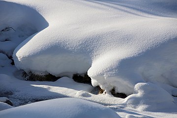 Nature of Inari