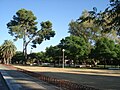 Parque El Cuco en Jerez (Spain)