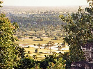 Paddy fields, seen from Phnom Bakheng