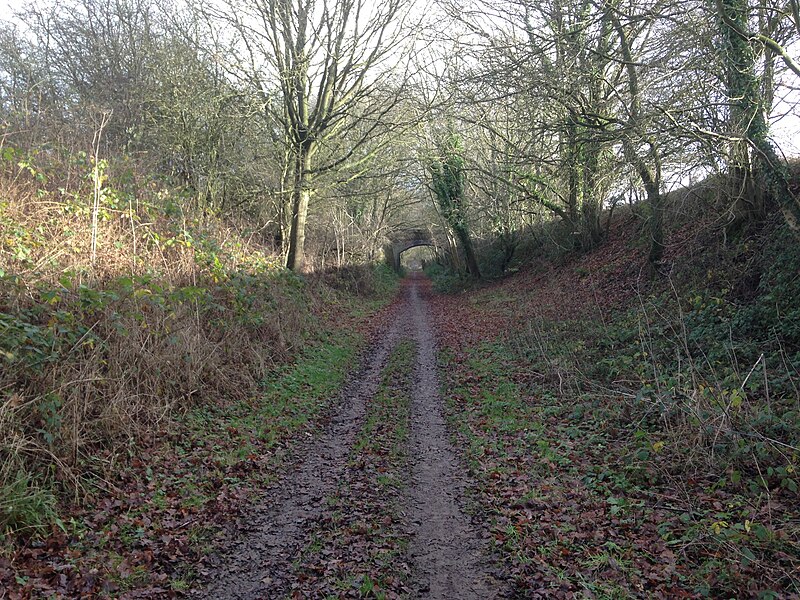 File:Marriott Way - geograph.org.uk - 5917098.jpg