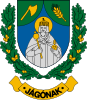 Coat of arms of Jágónak