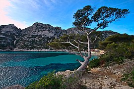 La calanque vue du nord-est