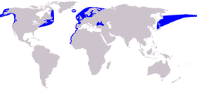 Harbour porpoise range